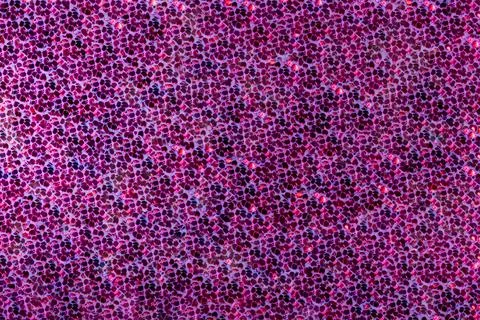 Pink sequin background Foto stock