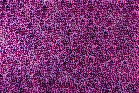 Pink sequin background Stock Photos