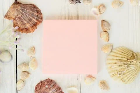 Pink sheet to record and seashells on a wooden background.Travel background Stock Photos