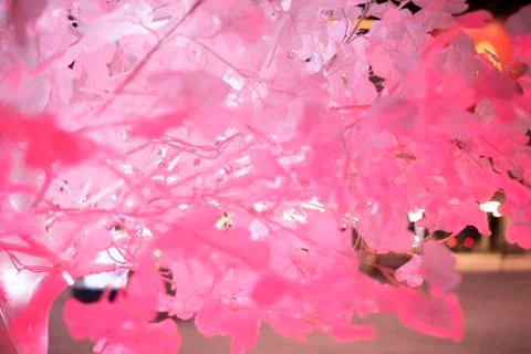 Pink sheets artificial luminous tree Stock Photos