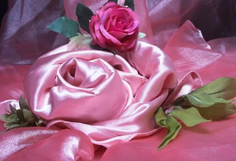 Pink silk. Stock Photos