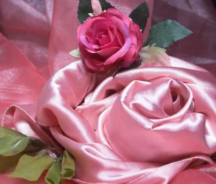 Pink silk. Stock Photos