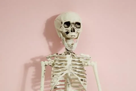 Pink skeleton Stock Photos