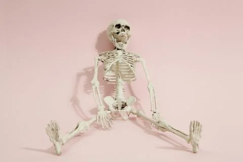 Pink skeleton Stock Photos