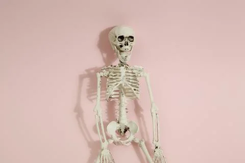 Pink skeleton Stock Photos