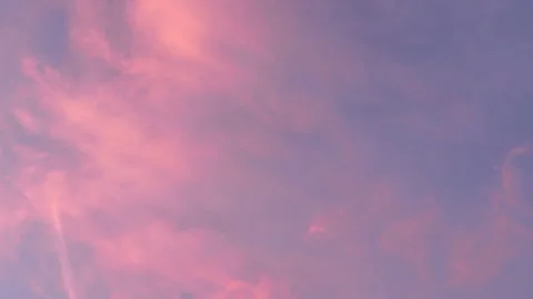 A pink sky with a bird flying in it Stock Footage 276344054