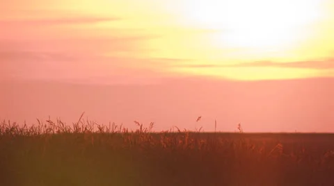 Pink sky sunset 15m. > 10 sec. Stock Footage 25646804