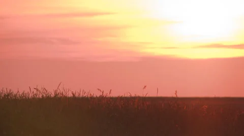 Pink sky sunset 30m. > 10 sec. Stock Footage 25646606