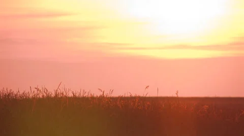 Pink sky sunset 7m. > 10 sec. Stock Footage 25647176
