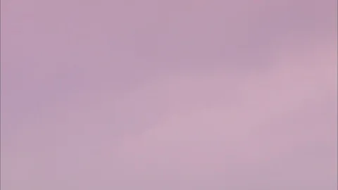 Pink sky of sunset and trees in silhouette 動画素材 95604576