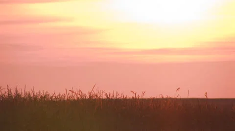 Pink sky sunset no timelapse Stock Footage 25646400