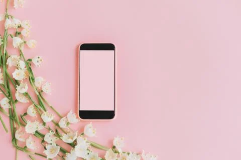 Pink smartphone with empty screen and white spring flowers on pink flat lay.  Stock Photos