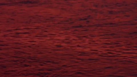 The pink smooth surface of the river is rippling. Beautiful texture. Bright suns Stock Footage 79981013