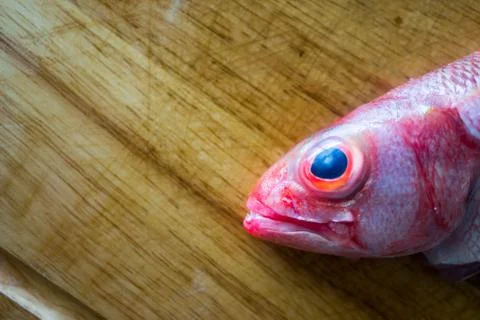 Pink snapper head and cutting board ready to be cooked Stock Photos
