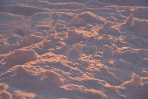 Pink snow winters in the light of the setting sun. Pink and blue winter flu.. Stock Photos