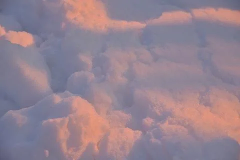 Pink snow winters in the light of the setting sun. Pink and blue winter flu.. Stock Photos