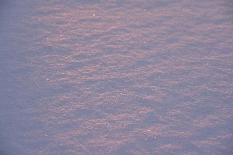 Pink snow winters in the light of the setting sun. Pink and blue winter flu.. Stock Photos