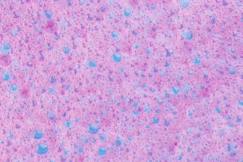 Pink soap bubbles background Photos