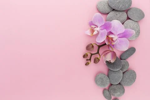 Pink spa orchid theme objects on pastel background. Stock Photos