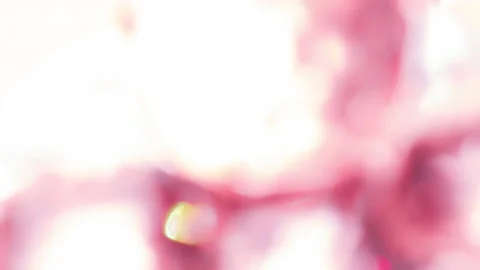 Pink Sparkle of the Ruby Facets 4K Stock Footage 158742845