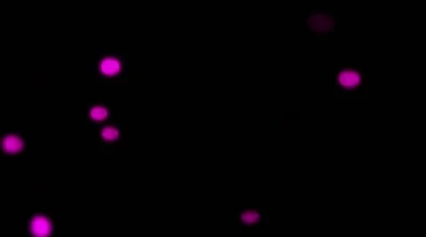 Pink Sparks In Slow-Mo - 7 Stock Footage