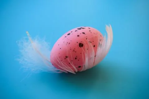 Pink Speckled Easter Egg with Soft White Feather on Blue Background Stock-Fotos