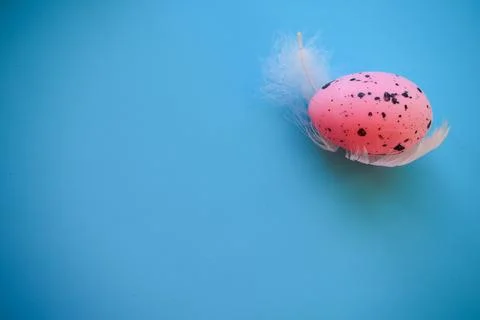 Pink Speckled Easter Egg with Soft White Feather on Blue Background Stock Photos