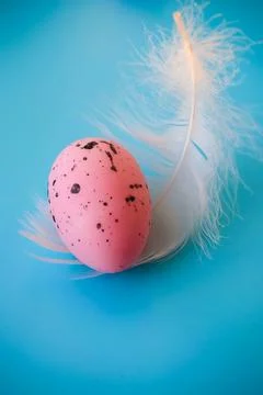 Pink Speckled Easter Egg with Soft White Feather on Blue Background Stock Photos