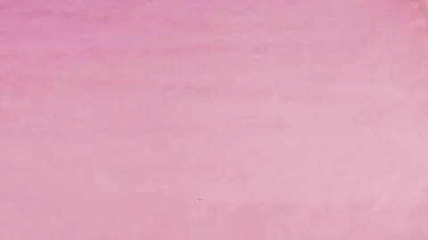 Pink, spring cherry blossom, sakura pink and light pink textured paper sheets. Stock-Footage 330274033