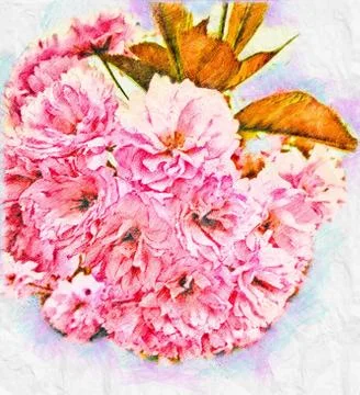 Pink Spring Flower Handdraw Artwork Illustration Stock Illustration
