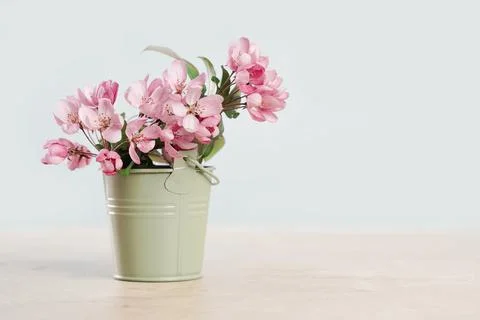 Pink spring flowers in a tiny olive bucket Stock Photos