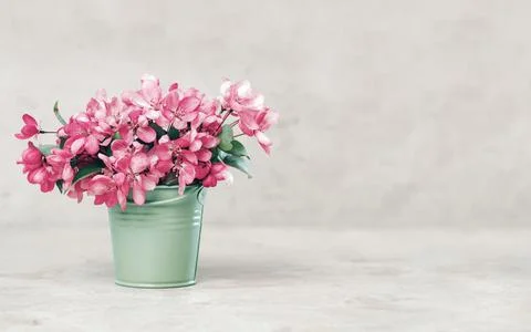 Pink spring flowers in a tiny olive bucket on gray beige Stock Photos
