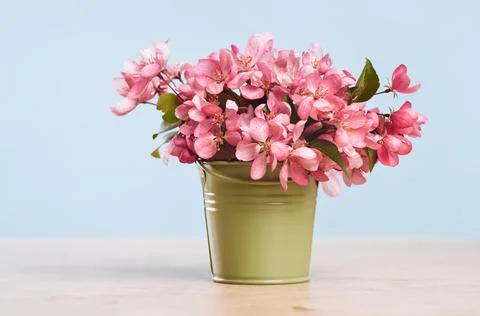 Pink spring flowers in a tiny olive bucket Stock Photos
