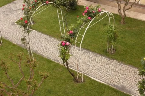 Pink spring flowers training over a trellis Stock Photos