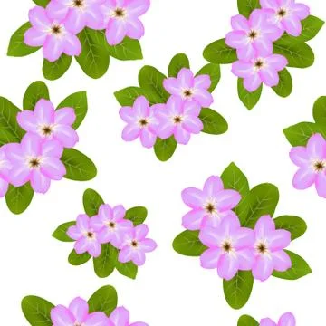 Pink spring flowers on white background seamless pattern Stock Illustration