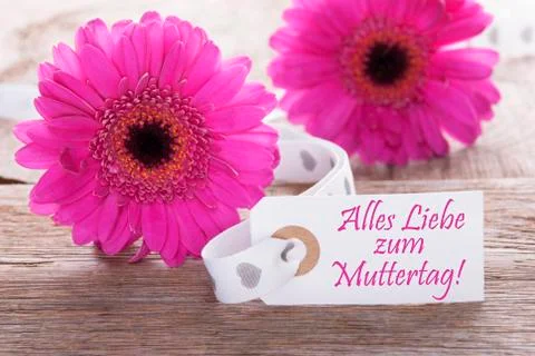 Pink Spring Gerbera, Label, Muttertag Means Mothers Day Stock Photos