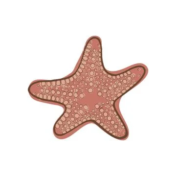 Pink star fish. Stock Illustration