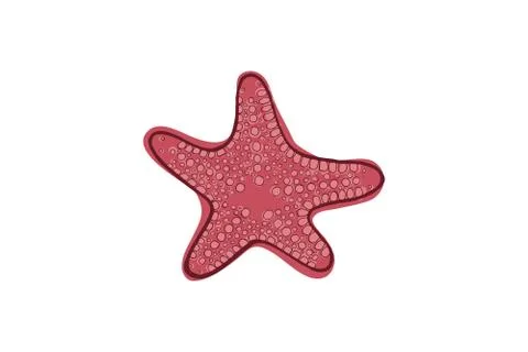 Pink starfish. Stock Illustration