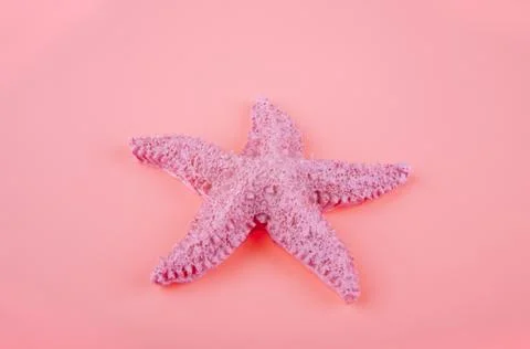 Pink starfish Stock Photos