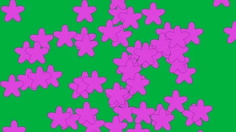 Pink stars floating on a green screen background for motion graphics Stock Footage 346009982