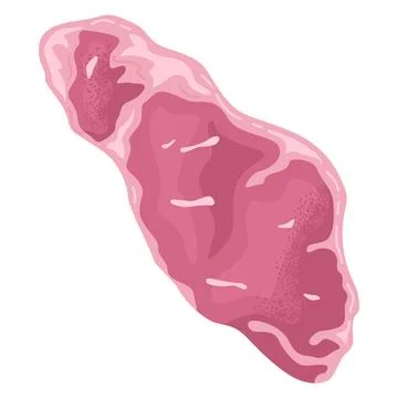 Pink steak vector illustration, raw meat with marbling, detailed beef cut Stock Illustration