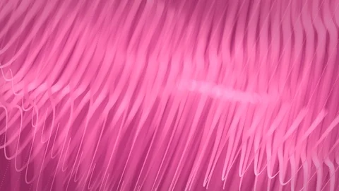 Pink Strings Background 4k Stock Footage