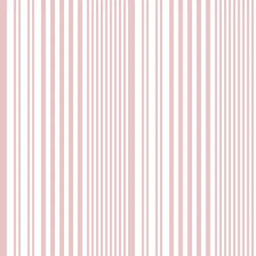 Pink Stripe seamless pattern background in vertical style Stock Illustration
