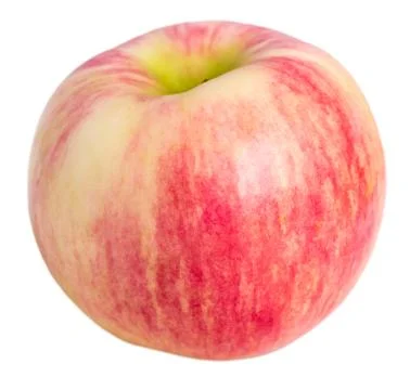 Pink striped apple Stock Photos