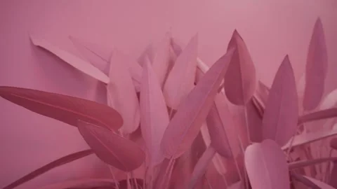 Pink Studio Setup Paper Flowers Video stock 263848022