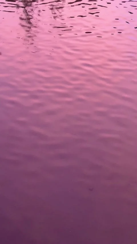 A pink sunlight reflecting off the surface of calm water, with soft ripples Stock Footage 332691426
