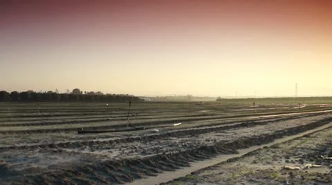 Pink sunrise pan 스톡 동영상 10725136