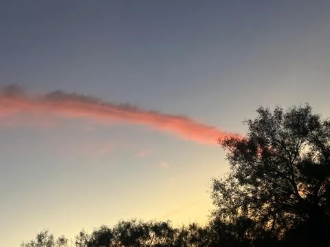 Pink Sunset Cloud Above Tree Silhouettes at Dusk Stock Photos