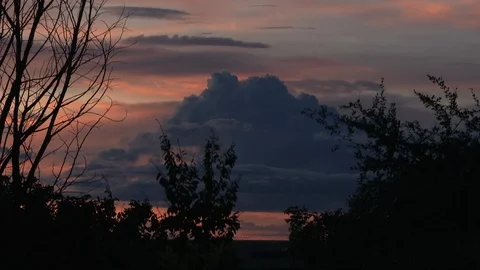 Pink sunset with clouds and shadows of trees in the front Video stock 98041254