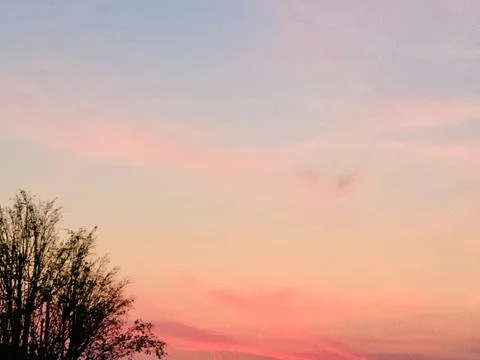 Pink Sunset Clouds and Tree Silhouettes Against Evening Sky Stock Photos